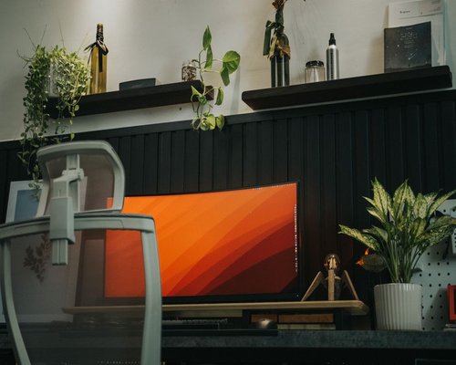Ergonomic home office setup with a computer monitor at eye level and indoor plants
